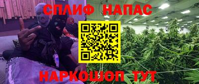 молекула духа Краснознаменск