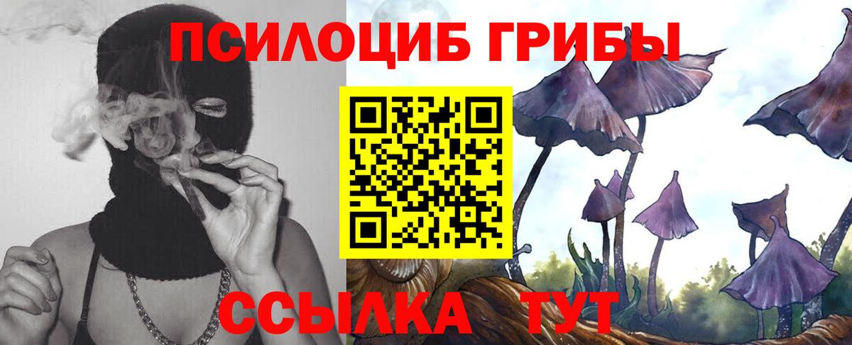 Калининград  Галлюциногенные грибы MAGIC MUSHROOMS  Вход с VPN 