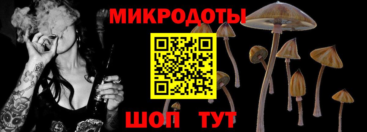 Галлюциногенные грибы GOLDEN TEACHER Калининград